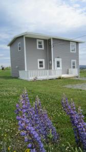 Martin's/Doyle's Property